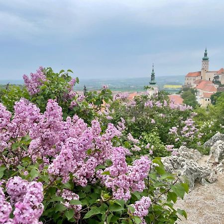 Dream Apt Mikulov Kültér fotó